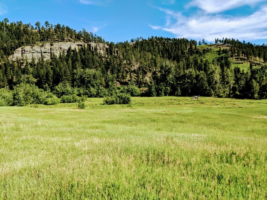 Bridger Creek Meadow Montana Silver Creek Elk Preserve