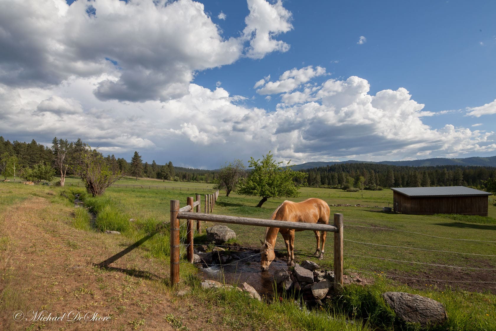 Horse and Stream Leaping Horse Farm MT Property for Sale