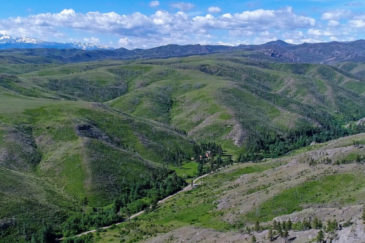Montana Elk Hunting Property for Sale Silver Creek Elk Preserve