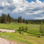 montana ranch land for sale leaping horse farm