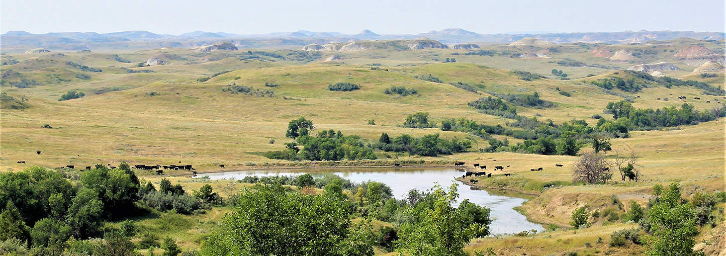 North Dakota Ranch Land Properties For Sale