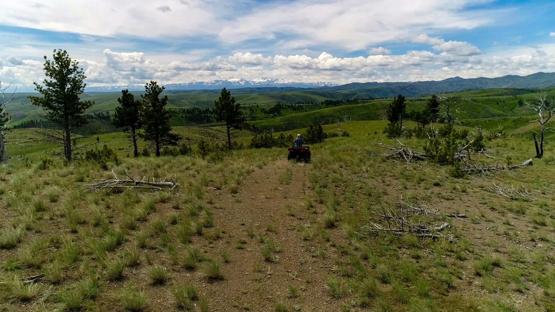 Ridge Top Trail Ride Montana Silver Creek Elk Preserve