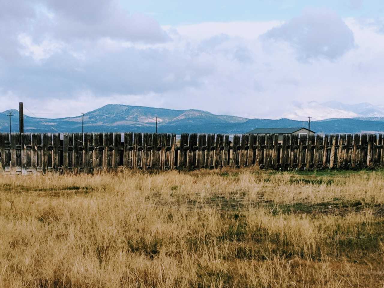 field and windbreak montana helena valley view ranch
