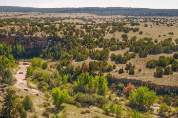 colorado recreational ranch for sale cedarwood ranch
