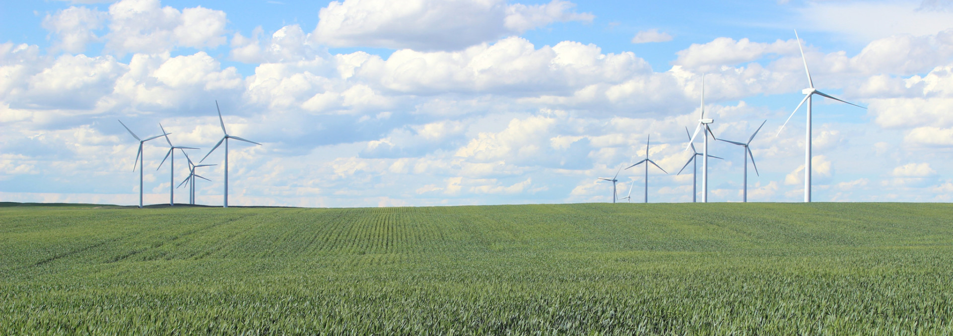 montana wind farm for sale HJ quarters farm price reduced