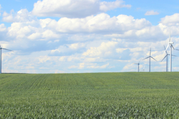 montana wind farm for sale HJ quarters farm price reduced