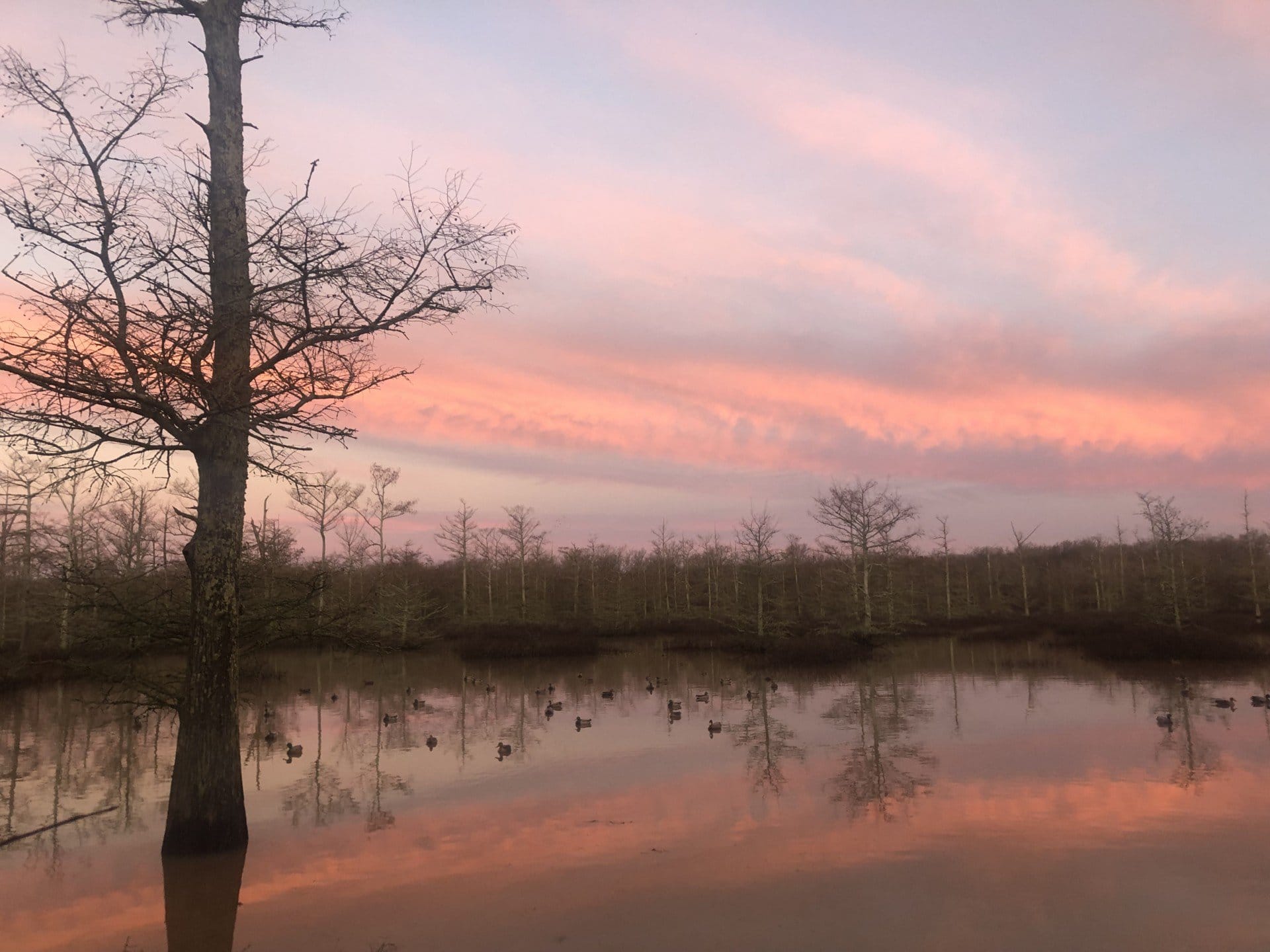 Mallard Rest | Mississippi Hunting Property | Fay Ranches