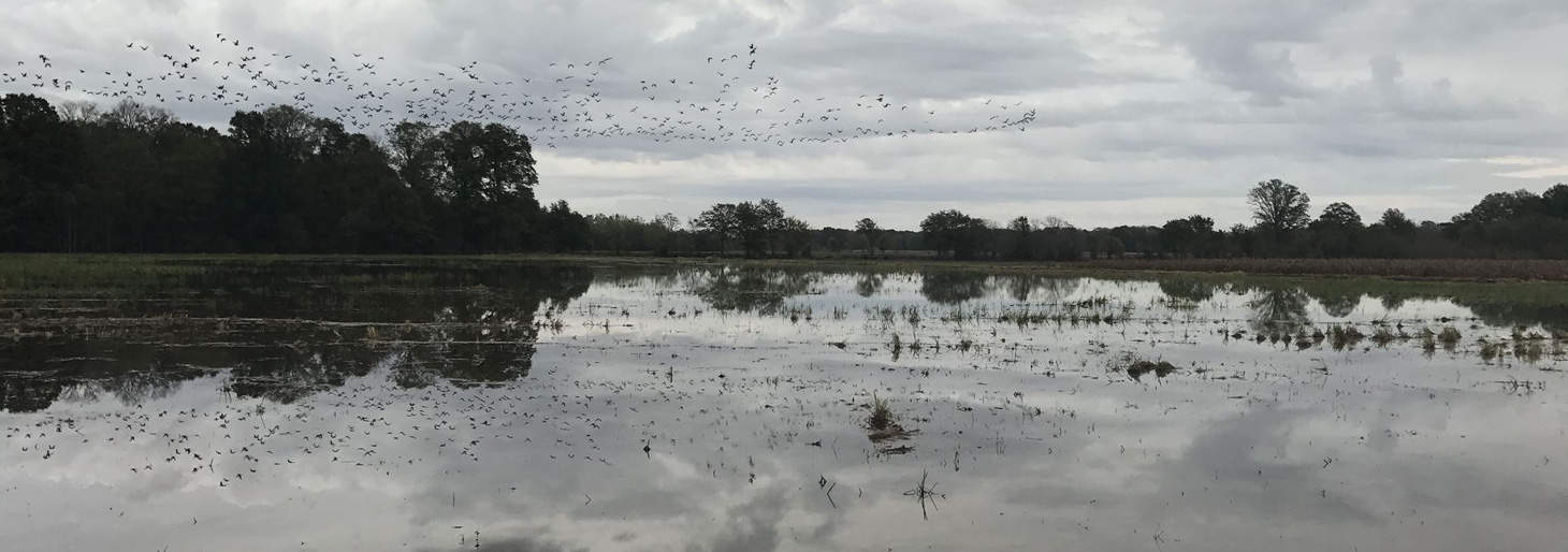 Mississippi Ranch Land Properties For Sale