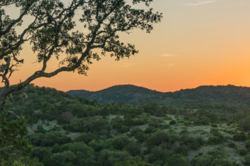 Texas Ranch for Sale Piñon Ranch