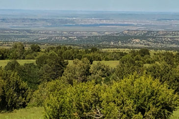 Colorado Ranch For Sale Wales Canyon Ranch
