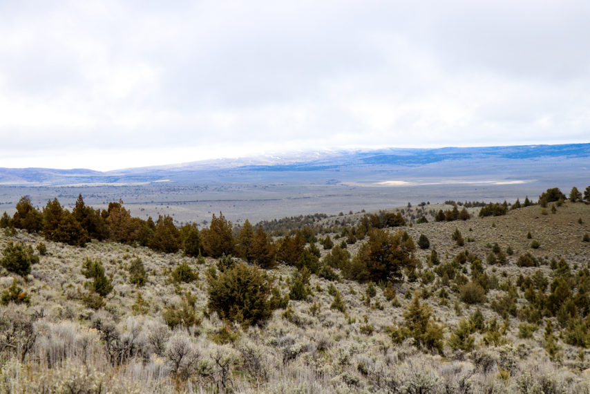 Brackett Ranch Jordan Valley Oregon Fay Ranches