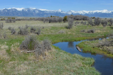 montana land for sale bull run creek crossing