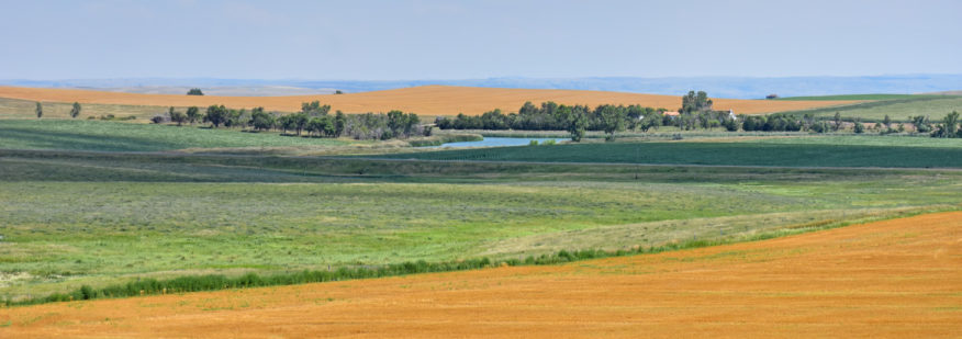 South Dakota Ranch Land Properties For Sale | Fay Ranches