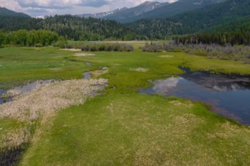 Cover Shot Montana Salmon Prairie Homestead