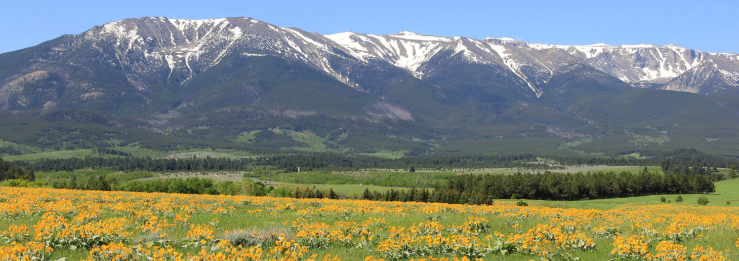 Elk Ridge Ranch Beartooth Mountains Fishtail MT Fay Ranches