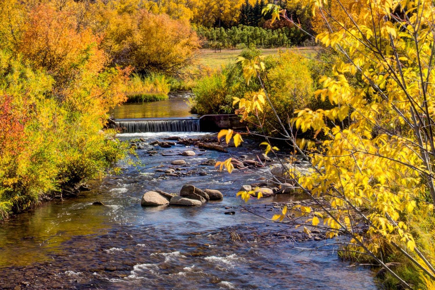 Cuchara River Colorado Escalera Ranch