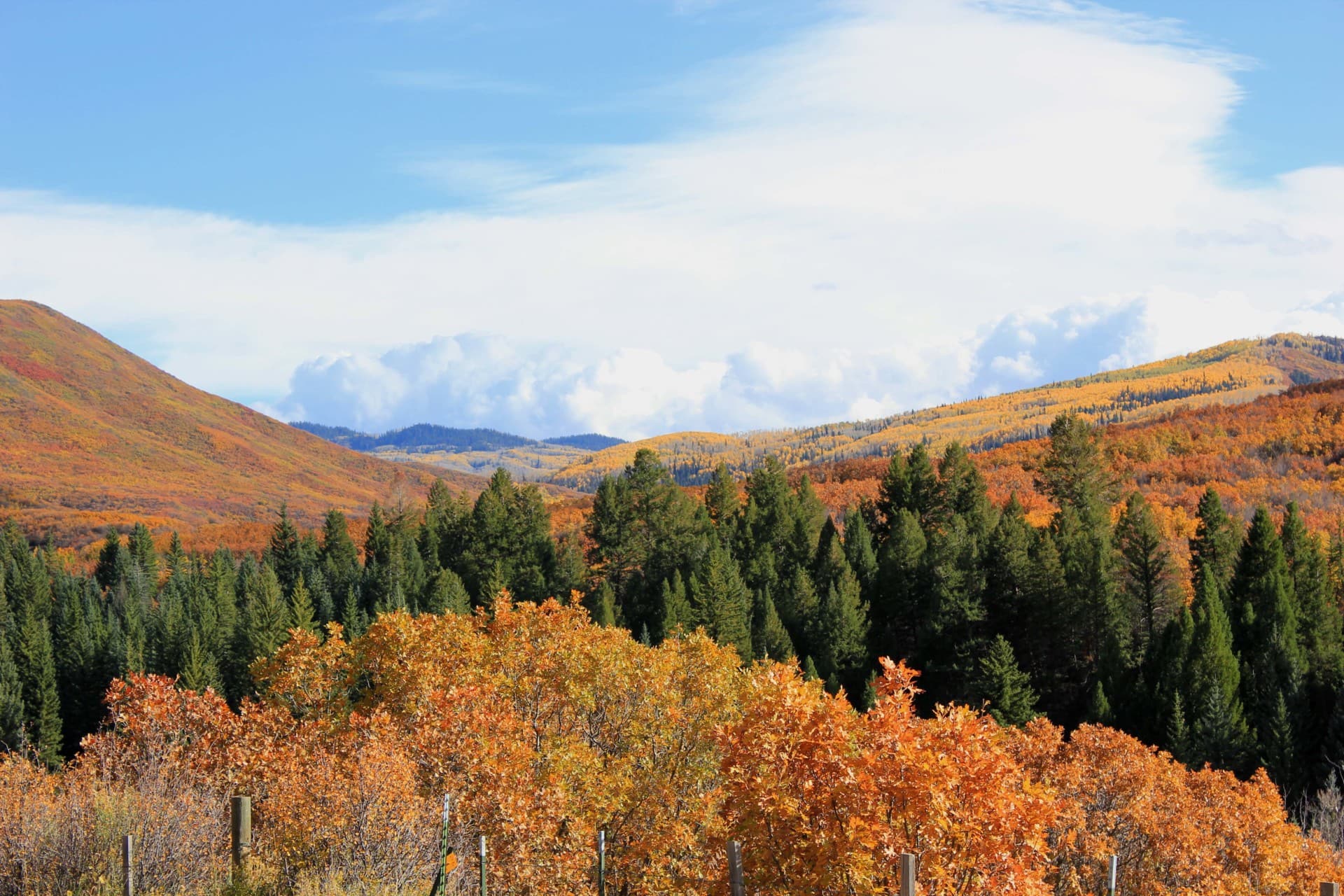 Fall Colors Colorado Up The Creek Ranch