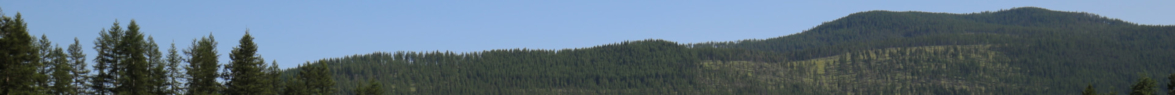 Fishing Property For Sale Moose Meadow Ranch Montana