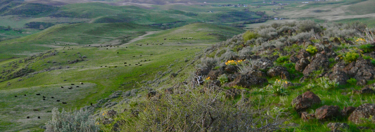 Mann Creek Ranch Wieser Idaho Fay Ranches