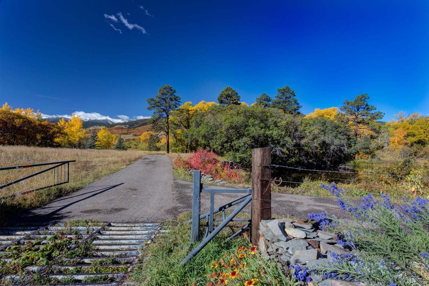 Landscaped Colorado Escalera Ranch