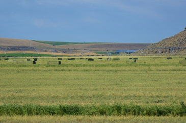 Oregon Ranch For Sale Weaver Springs