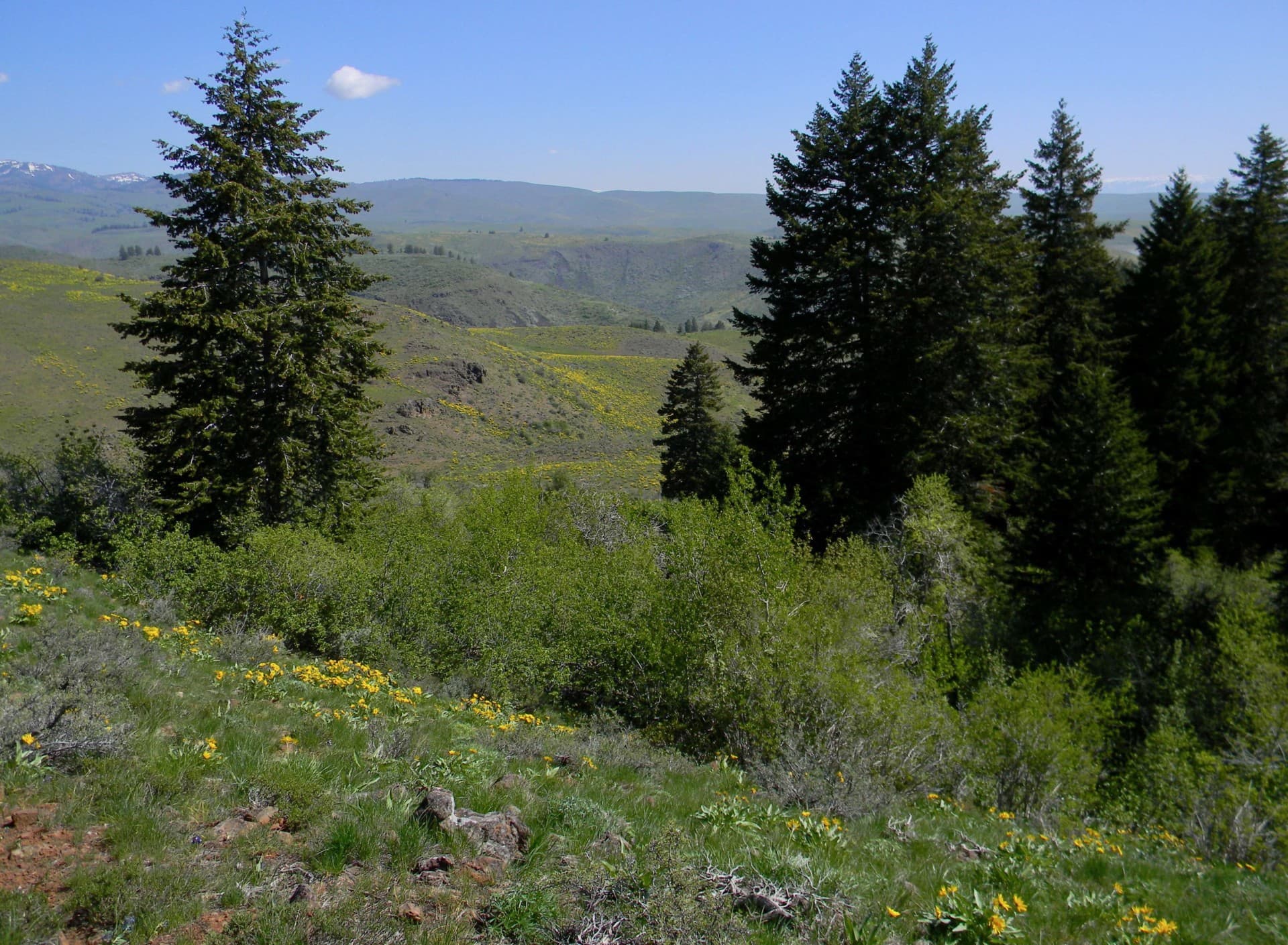 Mann Creek Ranch Wieser Idaho Fay Ranches