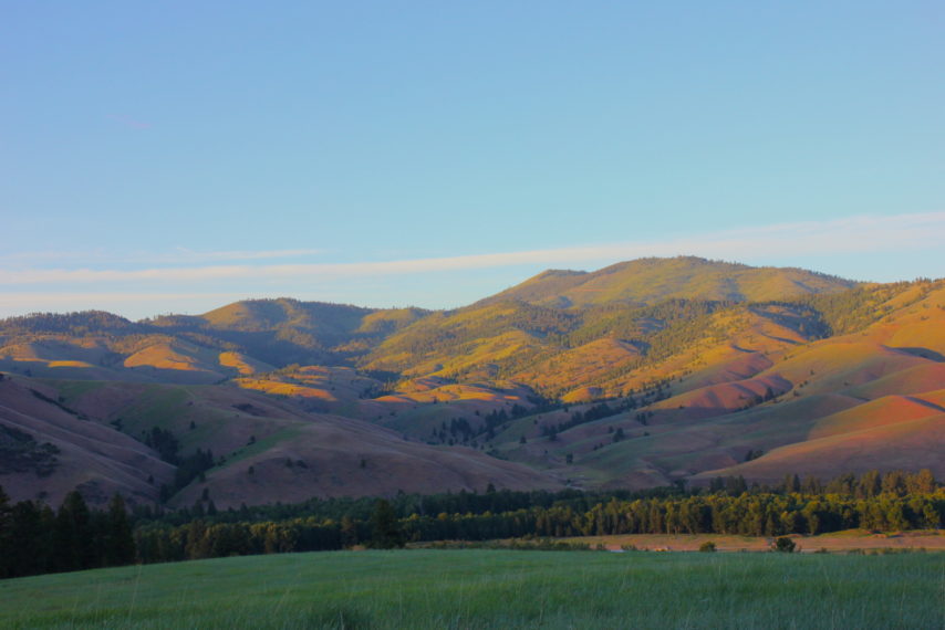 Trapper View Ranch Darby MT Property For Sale Fay Ranches