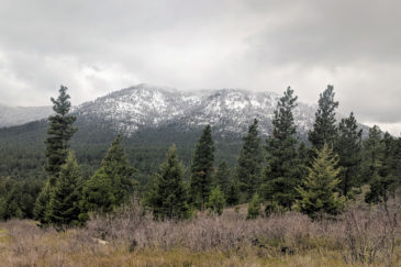 Montana Ranch for Sale Wolf Creek Mountain Ranch