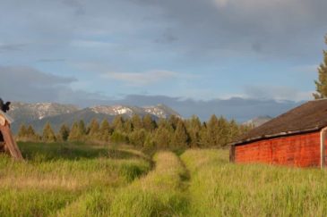 Barn With View Montana Swan Mountain Ranch