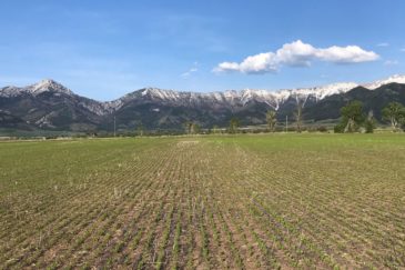 Bridger Mountains Springhill Farm Bozeman Montana Cover