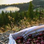 Cherries Over Lake Montana Glacier Fresh Cherry Orchard