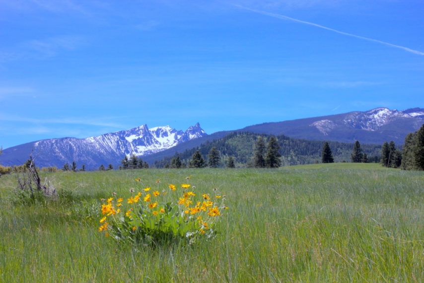 Trapper View Ranch Darby MT Property For Sale Fay Ranches