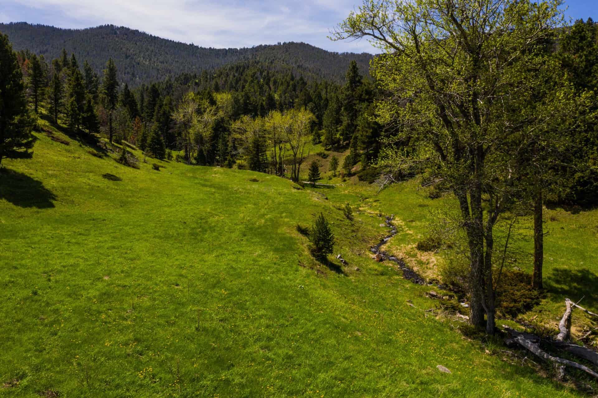 grassland montana west hound creek ranch