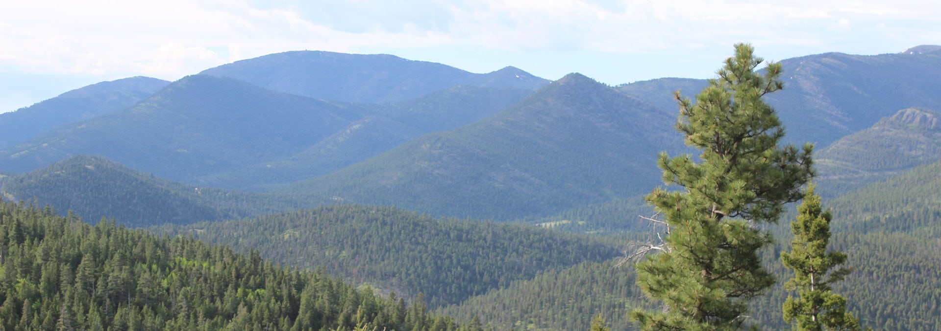 Wolf Creek Mountain Ranch Wolf Creek Montana Fay Ranches