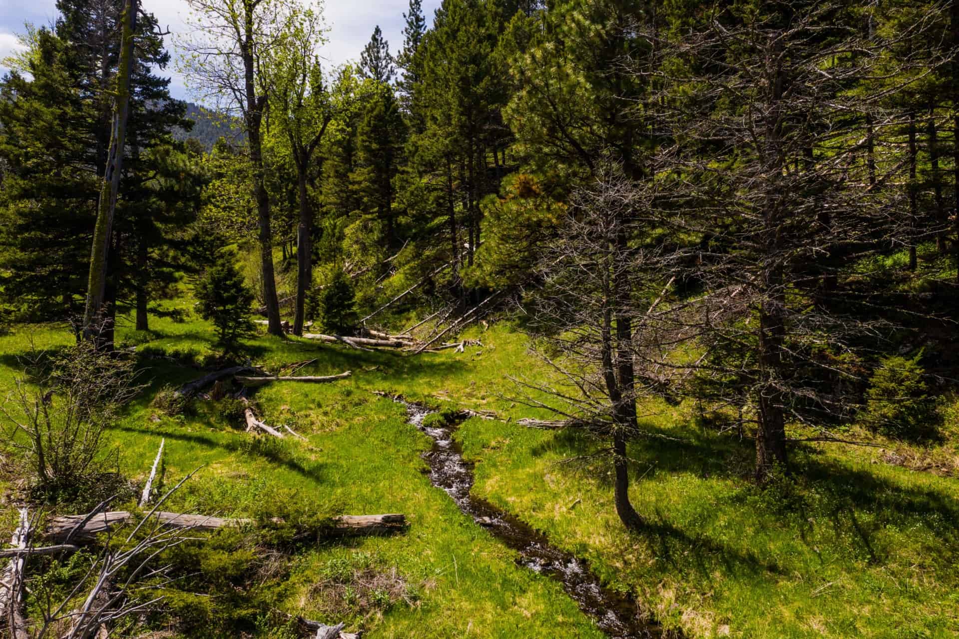 nature pathway montana west hound creek ranch