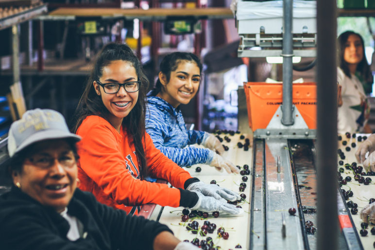 Glacier Fresh Cherry Orchard Bigfork Montana Fay Ranches