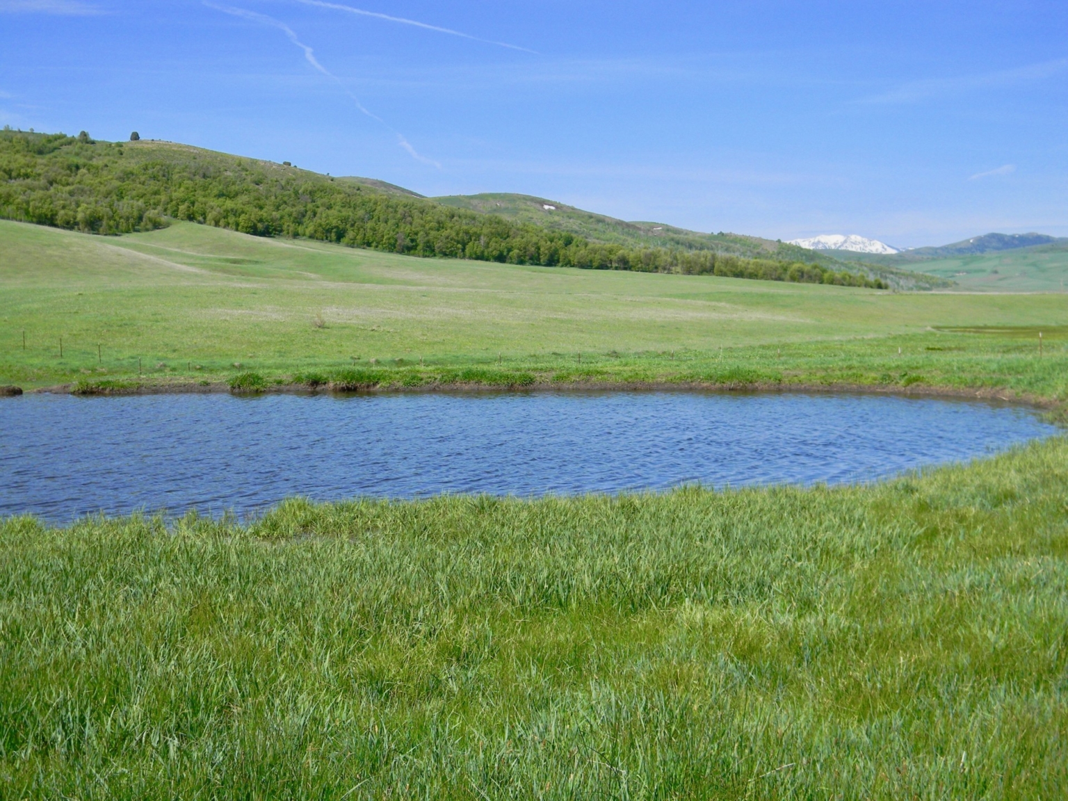 High Desert Ranch | Hunting and Cattle Ranch | Fay Ranches
