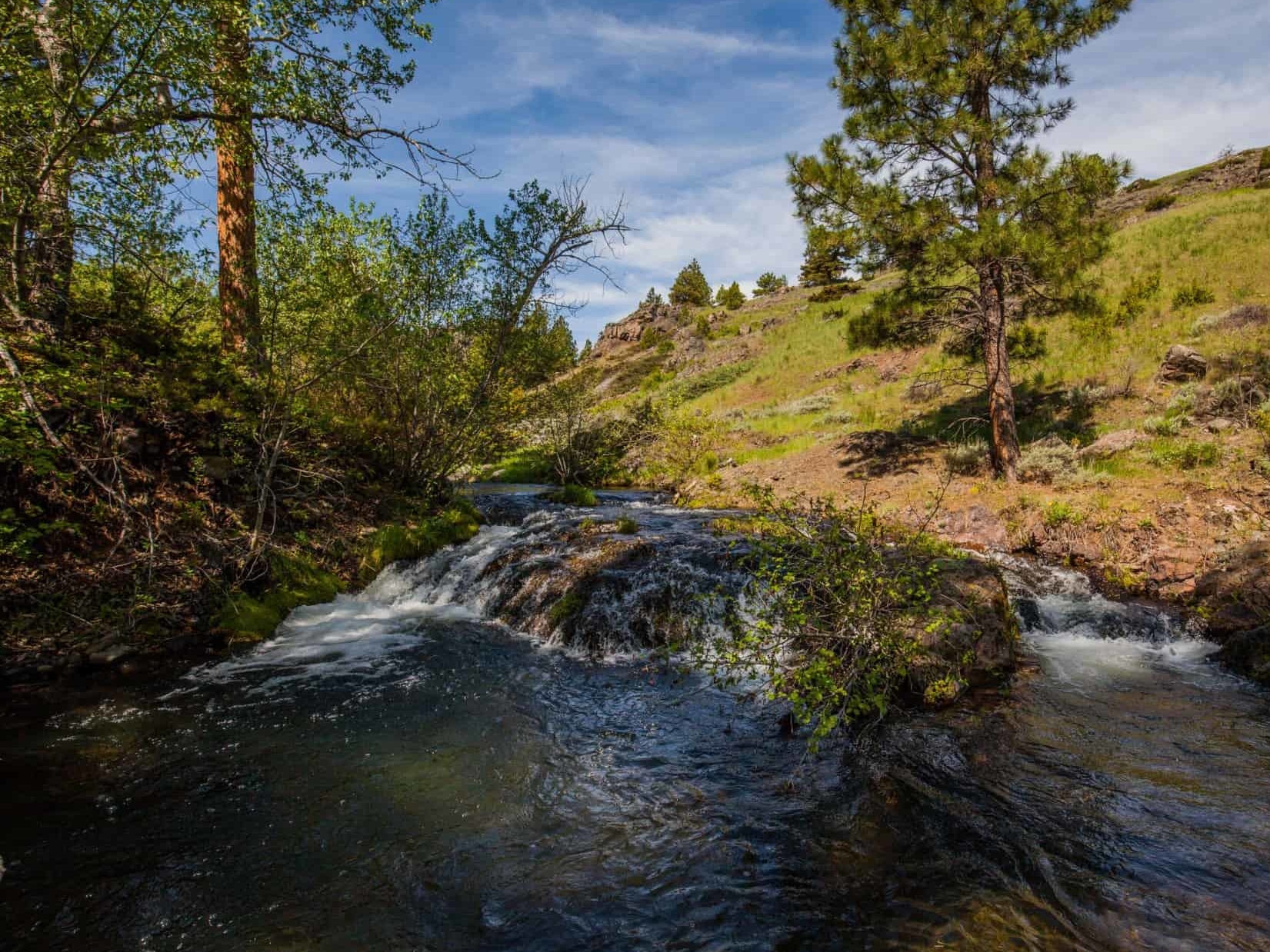 pristine water flow montana west hound creek ranch