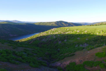 sunrise-scenic-view-high-desert-ranch-Idaho