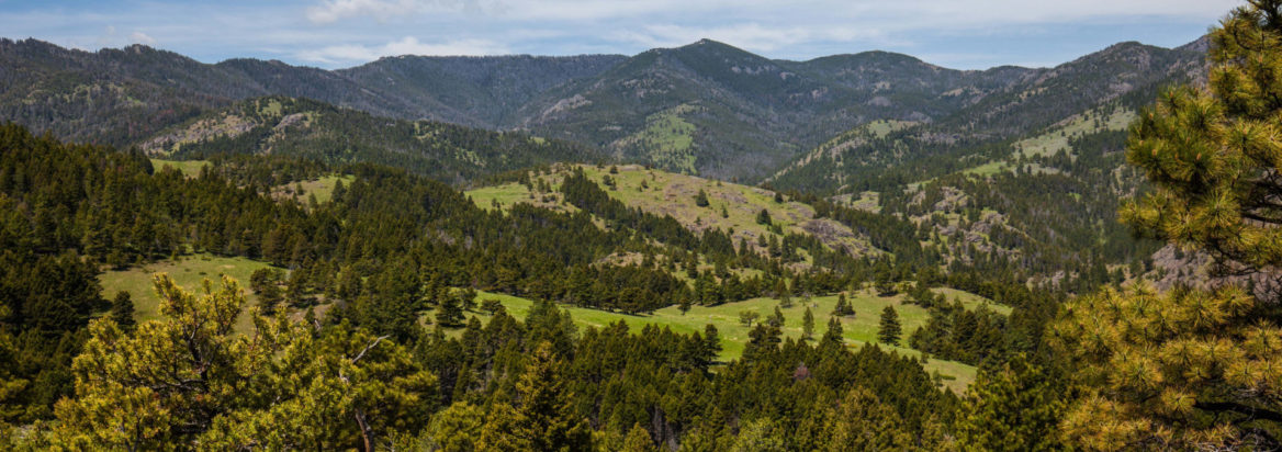 West Hound Creek Ranch | Cascade Montana | Fay Ranches