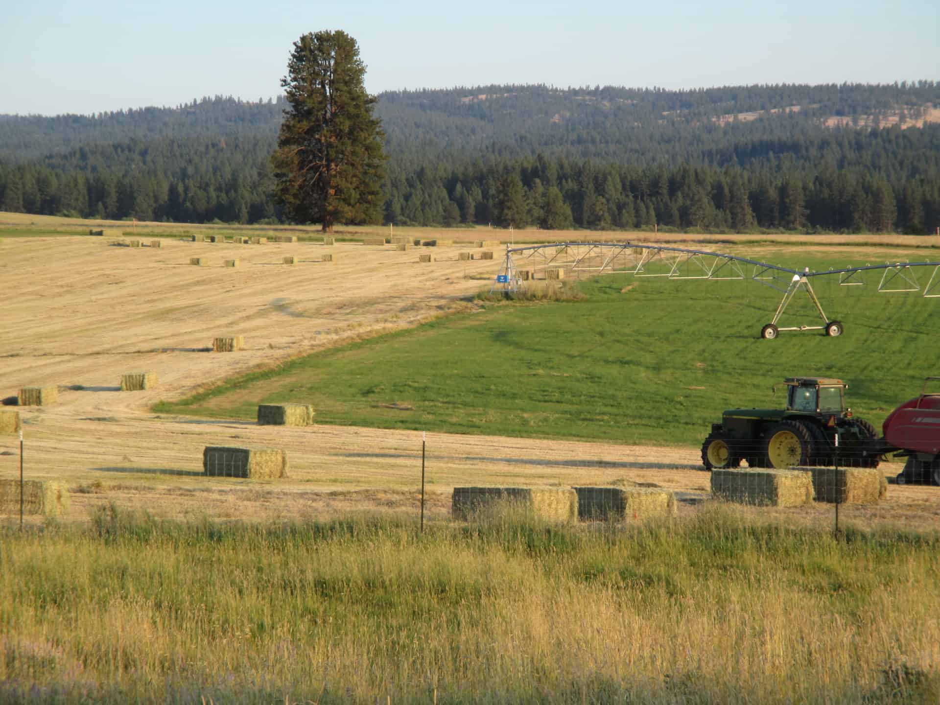 agricultural production for sale oregon bear creek valley ranch
