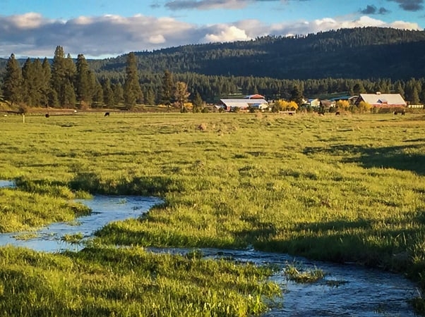 Oregon Horse Ranch For Sale Bear Creek Valley Ranch