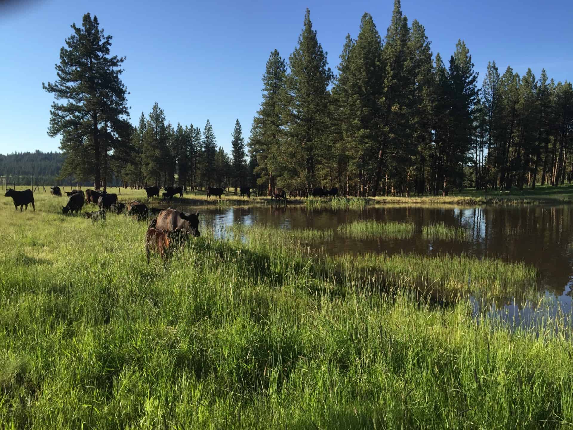 ranches land for sale Oregon Bear Creek Valley Ranch