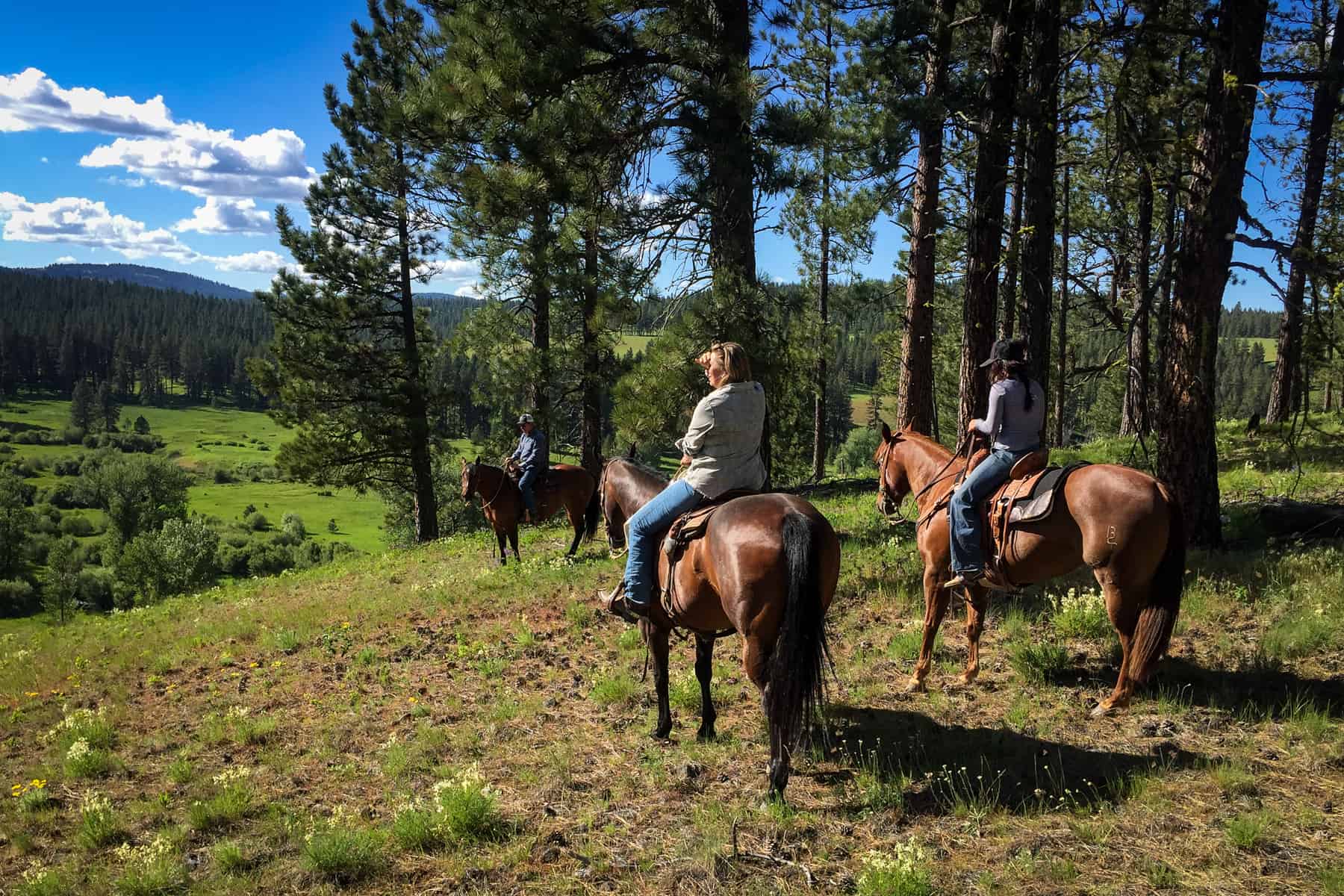 Riding Accross Jordan Creek Oregon Bear Creek Valley Ranch