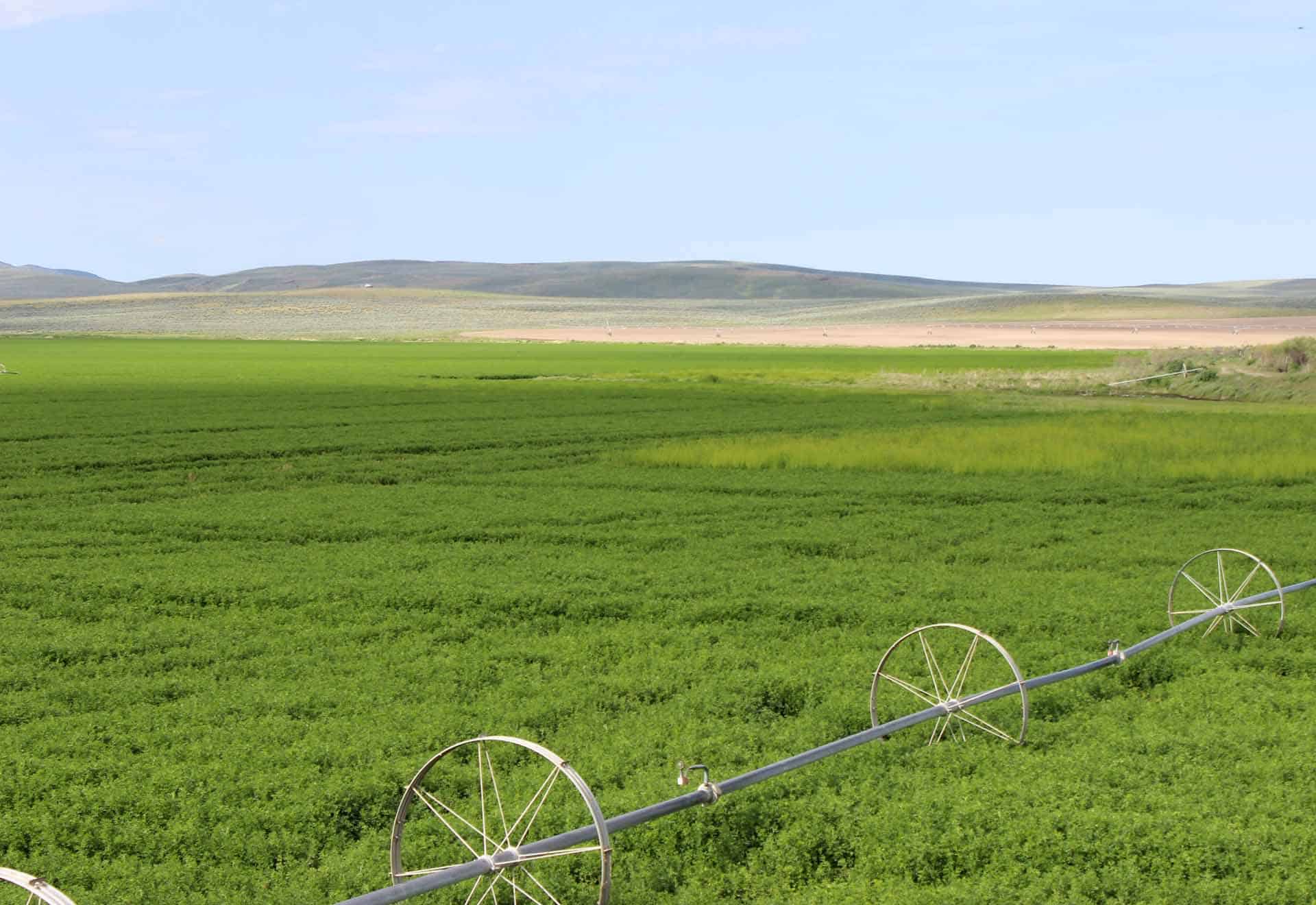 Obendorf Ranch Jordan Valley Oregon Fay Ranches