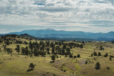 Colorado Ranch for Sale Lorrayne Ranch