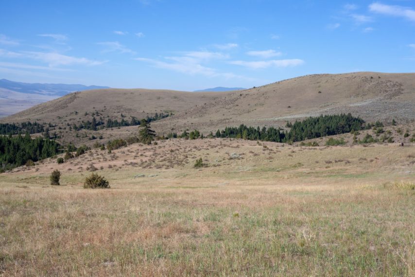 Wild Country Ranch | Drummond Montana | Fay Ranches