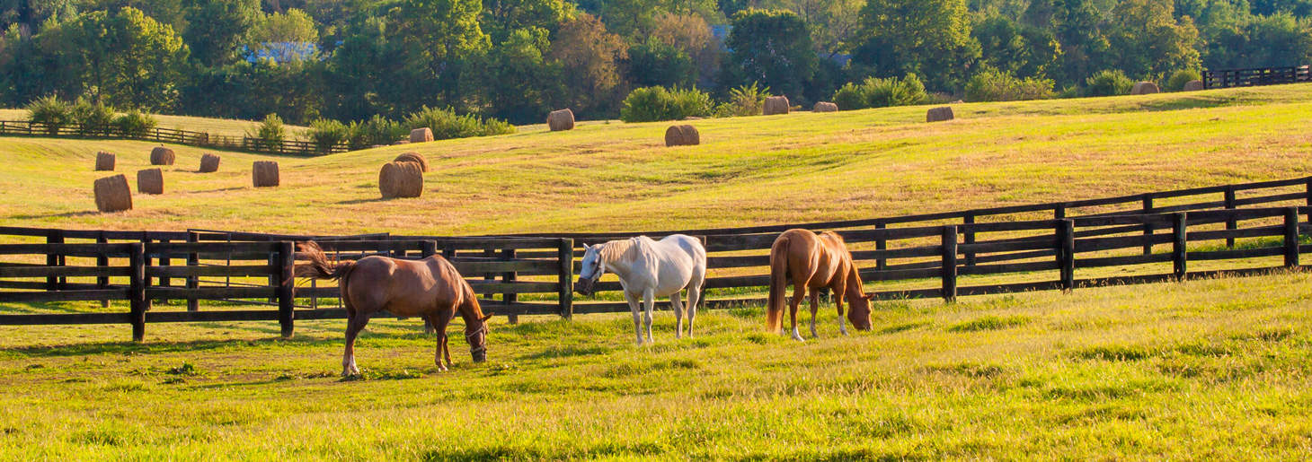 Kentucky Ranches Land Properties for Sale