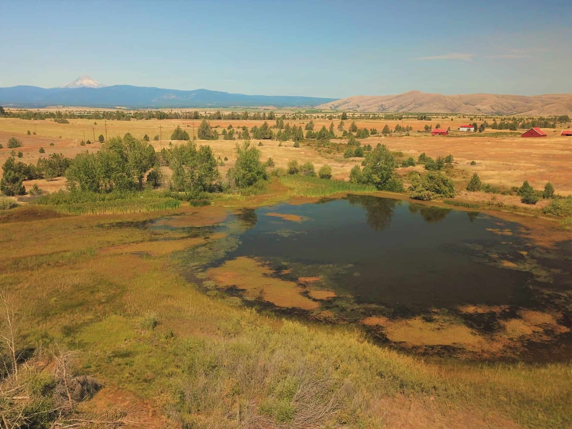 Private Lake for Irrigation Oregon