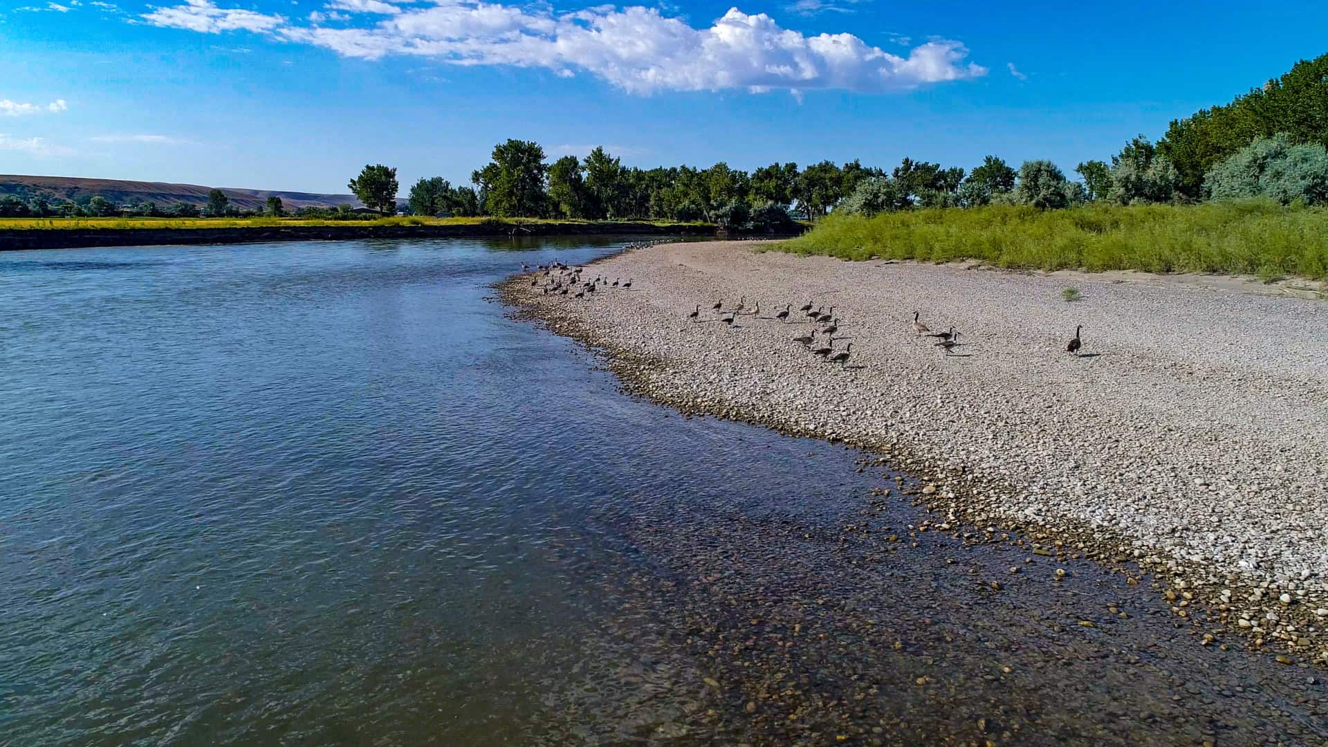 Riverbend Ranch Montana River Property Fay Ranches